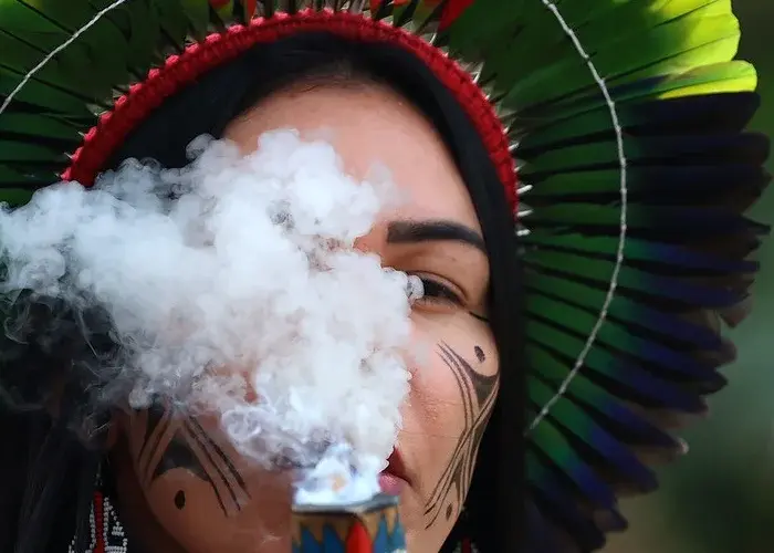 Consequências Ocultas da COP30 e o Impacto da Informação em Excesso