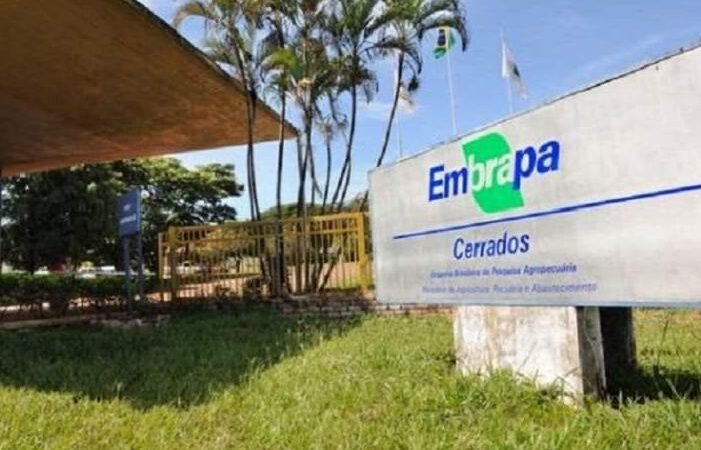 Estante Virtual da Embrapa Cerrados Recebe Nova Edição