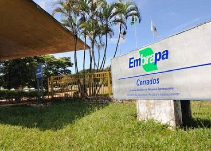 Estante Virtual da Embrapa Cerrados Recebe Nova Edição