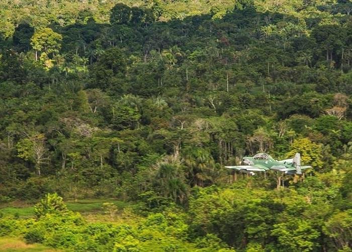 Fundo Global de Preservacao Florestal Supera US 5,5 Bilhoes Fundo Global de Preservacao Florestal Supera US 5,5 Bilhoes