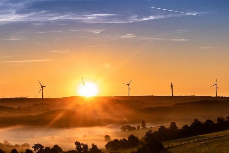 Google está adquirindo 200 mil toneladas de remoção de CO₂ da Mombak