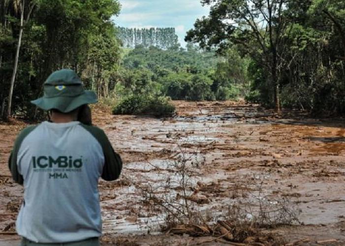 Ibama e ICMBio Recebem Autorizacao para Contratacao de 201 Novos Servidores