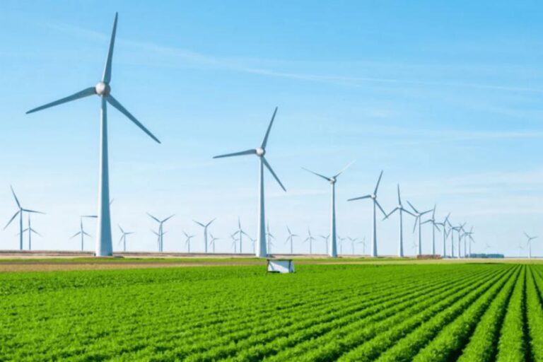 MP 1.304 aceleram a transição energética do agronegócio brasileiro