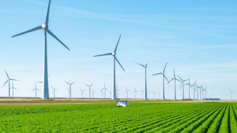 MP 1.304 aceleram a transição energética do agronegócio brasileiro