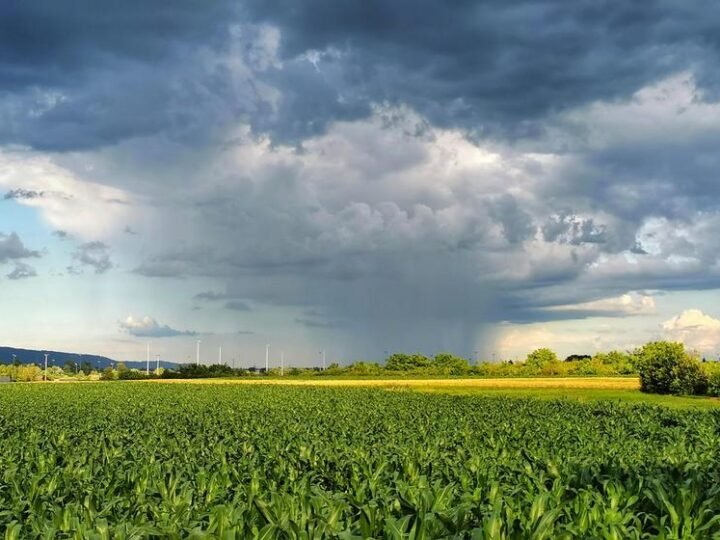 Mudanças climáticas elevam riscos e desafiam rentabilidade no campo Mudanças climáticas elevam riscos e desafiam rentabilidade no campo