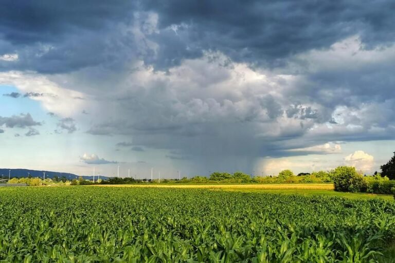 Mudanças climáticas elevam riscos e desafiam rentabilidade no campo