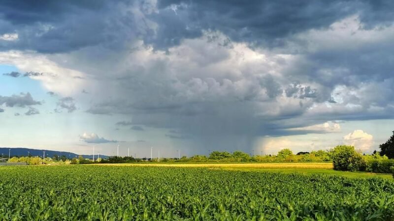 Mudanças climáticas elevam riscos e desafiam rentabilidade no campo