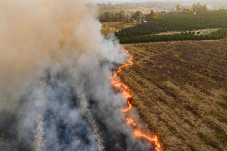 Quais tipos de seguros podem reduzir os prejuízos das mudanças climáticas?