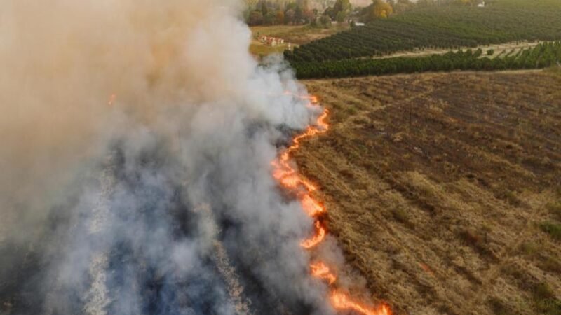 Quais tipos de seguros podem reduzir os prejuízos das mudanças climáticas? Quais tipos de seguros podem reduzir os prejuízos das mudanças climáticas?