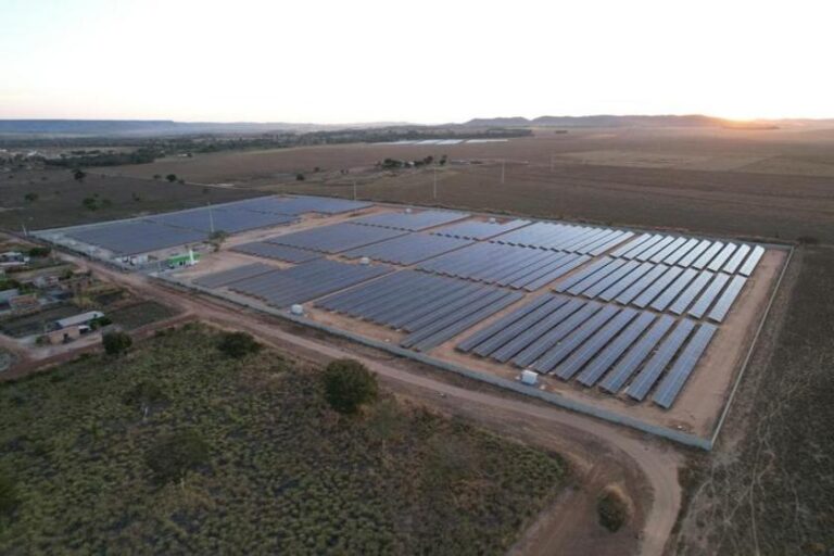 Sicredi apresentará ações para mulheres empreendedoras e transição energética no campo na COP 30