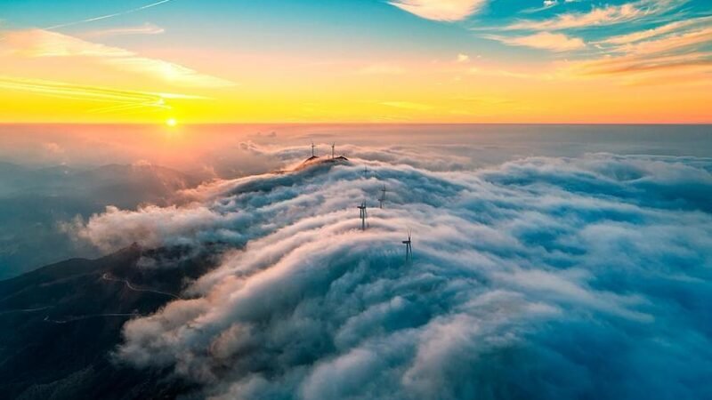 Copel registra lucro recorde de R$ 383 milhões