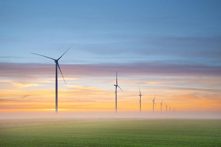 Mercado Livre de Energia: Economia e Sustentabilidade para Todos