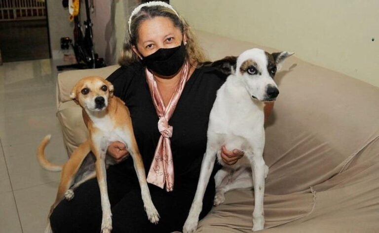BRB inicia distribuicao de cartoes para tutores de pets