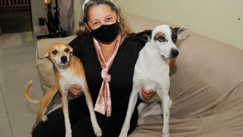 BRB inicia distribuicao de cartoes para tutores de pets