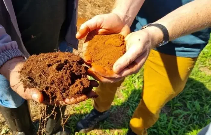 O Solo Saudavel Grande Trabalhador Da Agricultura