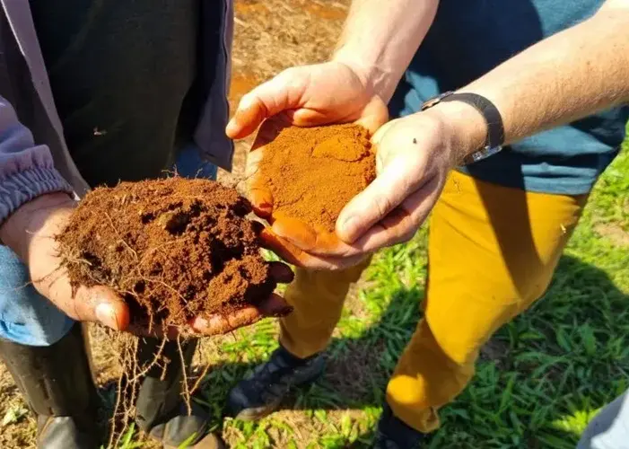 O Solo Saudavel Grande Trabalhador Da Agricultura