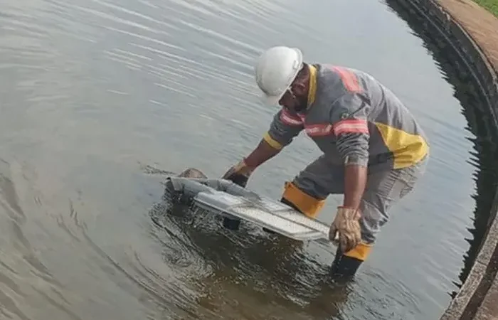 Vândalos Deixam Catedral em Trevas Mais Uma Vez