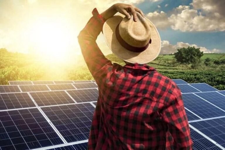 Armazenamento de energia se torna aliado estratégico e impulsiona agronegócio