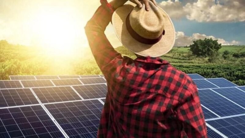 Armazenamento de energia se torna aliado estratégico e impulsiona agronegócio