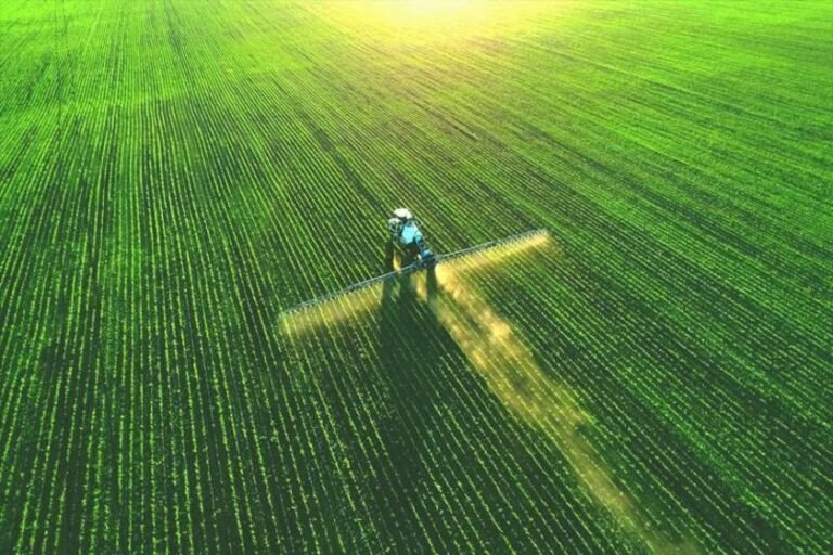 Lei dos Agrotóxicos completa 2 anos de sanção e destaca setor fortalecido