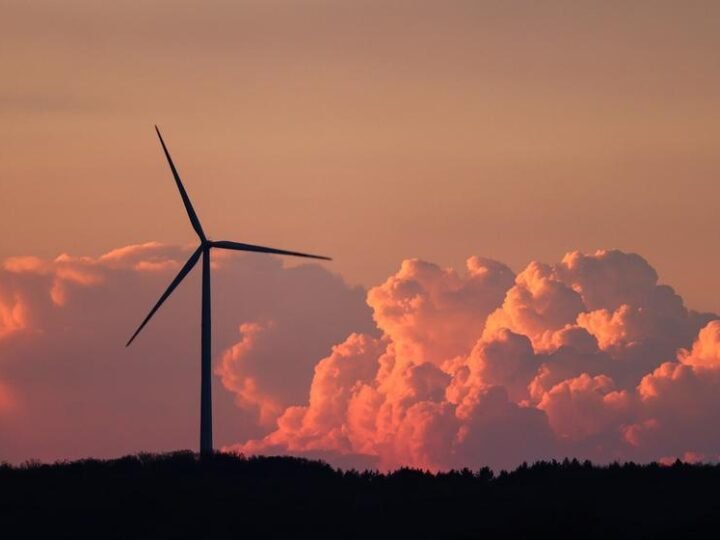 Reforma do Setor Elétrico em Foco na Aneel