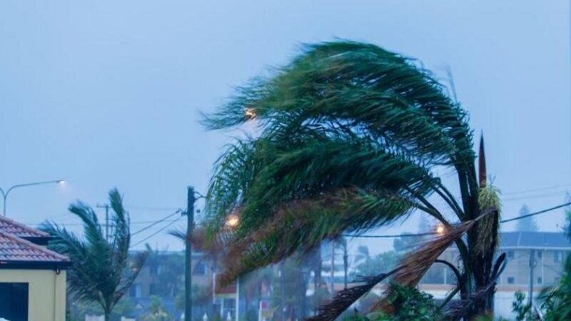 Ventos e apagões em São Paulo reacendem debate sobre proteção elétrica e confiabilidade da rede