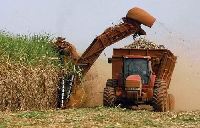 Agro paulista apresenta desempenho animador nos ultimos dados