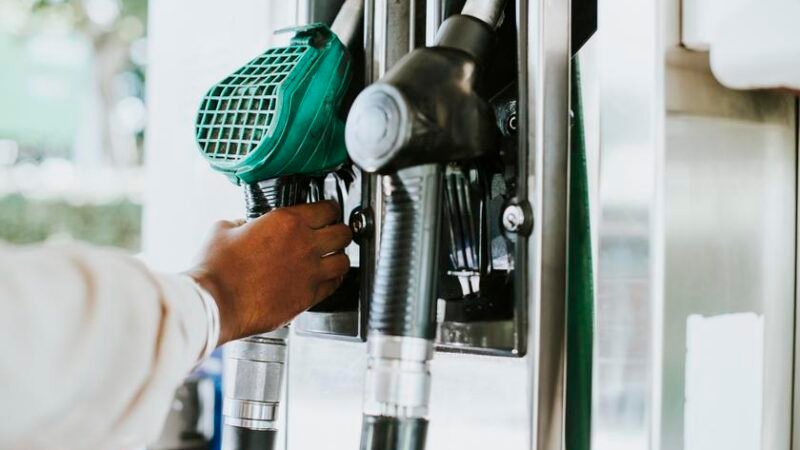 Capacidade produtiva nacional sustenta a estratégia brasileira para o biodiesel, diz Binatural