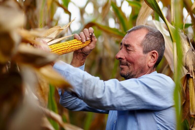 Cooperativa de agricultura familiar da Bahia quadruplica produtividade e amplia renda com apoio da Binatural