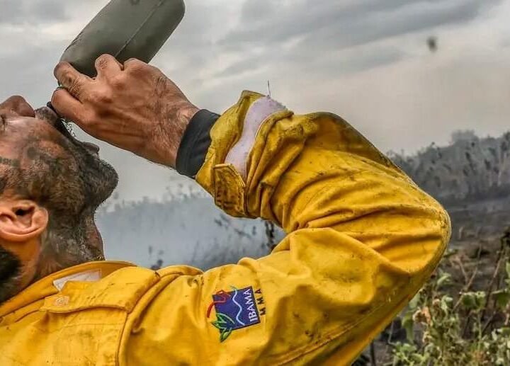 Ibama Seleciona Profissionais para Combate a Incendios Florestais