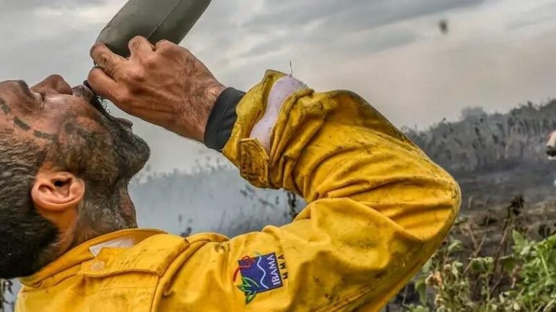 Ibama Seleciona Profissionais para Combate a Incendios Florestais