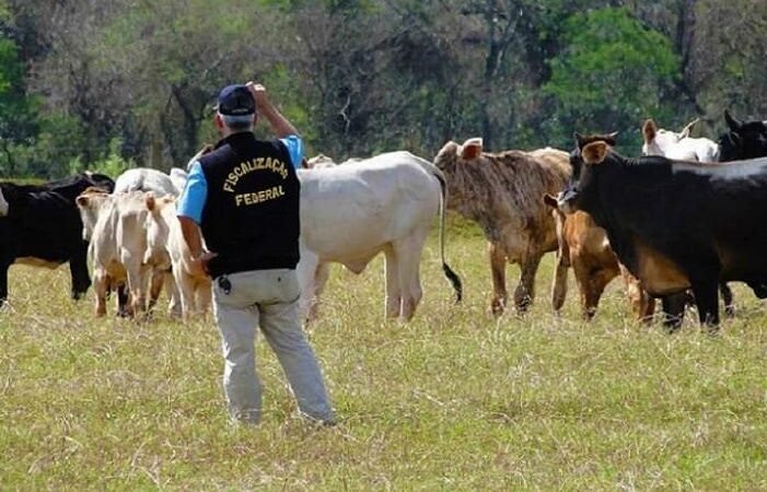 Mercosul e Uniao Europeia Juntos No Futuro Do Comercio Internacional Mercosul e Uniao Europeia Juntos No Futuro Do Comercio Internacional