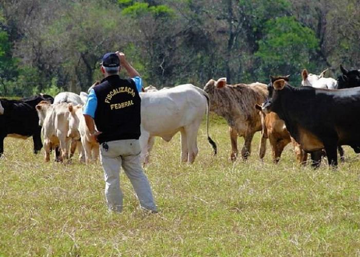 Mercosul e Uniao Europeia Juntos No Futuro Do Comercio Internacional
