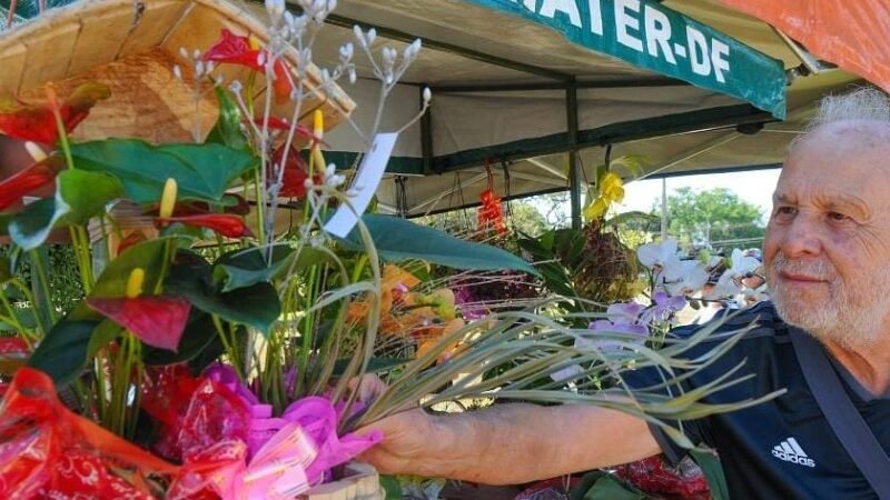 Microempreendedor Individual pode regularizar pendencia para voltar a fazer parte do Simples Nacional