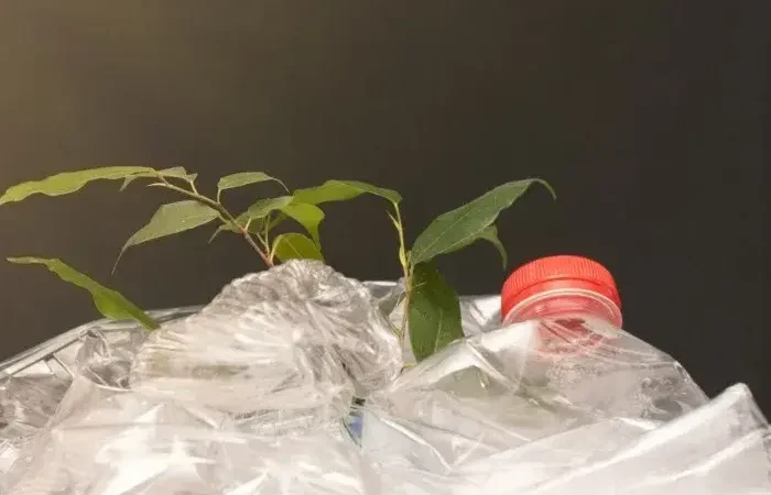 Nova fábrica de reciclagem de garrafas pet deve ser concluida ainda em novembro Nova fábrica de reciclagem de garrafas pet deve ser concluida ainda em novembro