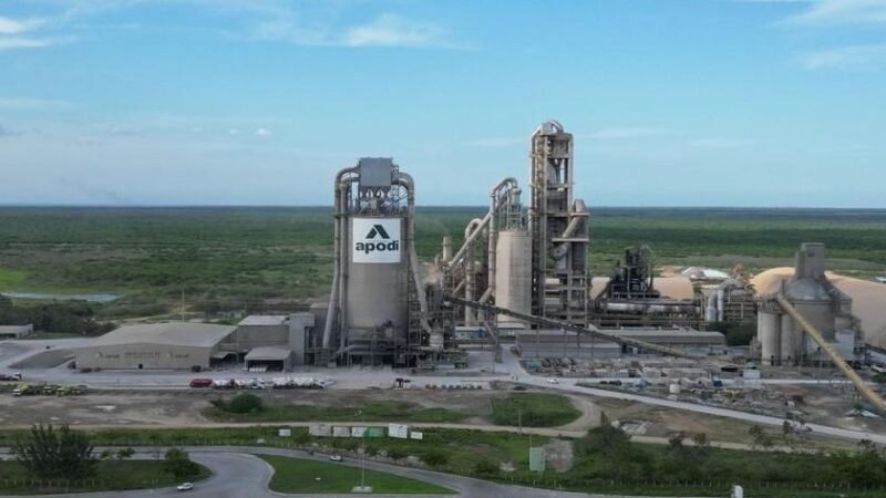 Cimento Apodi utiliza a carnaúba para geração de biomassa sustentável no Ceará Cimento Apodi utiliza a carnaúba para geração de biomassa sustentável no Ceará