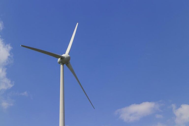 Líderes experientes chegam à Thymos Energia