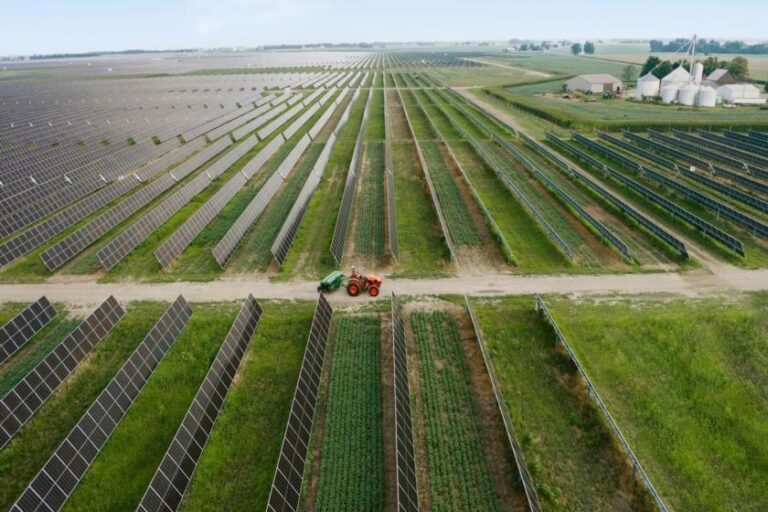 Amazon está entre maiores compradoras corporativas de energia livre de carbono em 2025