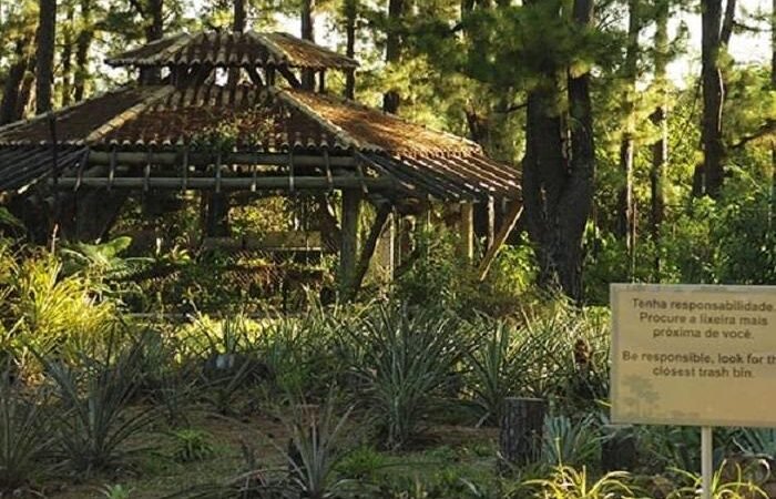 Brasil atinge maior nivel de atividade turistica em 14 anos