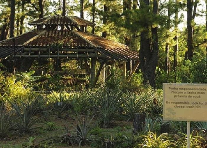 Brasil atinge maior nivel de atividade turistica em 14 anos