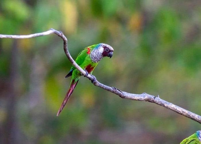 Clima de olho no bolso e nos precos em 2026 Clima de olho no bolso e nos precos em 2026