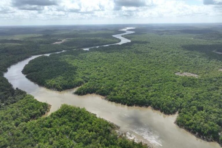 Maranhão pode vir a ganhar nova reserva ambiental de 17 km² com foco em impacto social e pesquisa