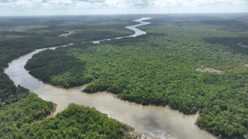 Maranhão pode vir a ganhar nova reserva ambiental de 17 km² com foco em impacto social e pesquisa