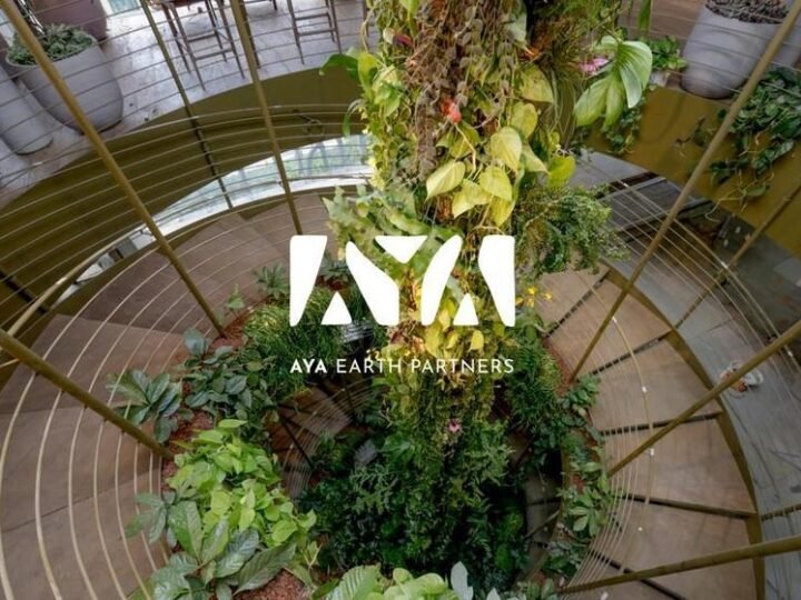 Nova frente empresarial aposta em SAF e energia limpa para acelerar a transição