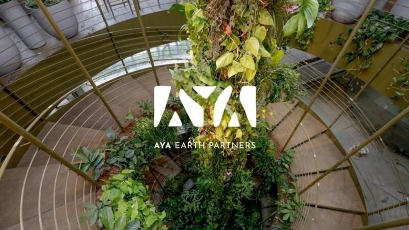 Nova frente empresarial aposta em SAF e energia limpa para acelerar a transição