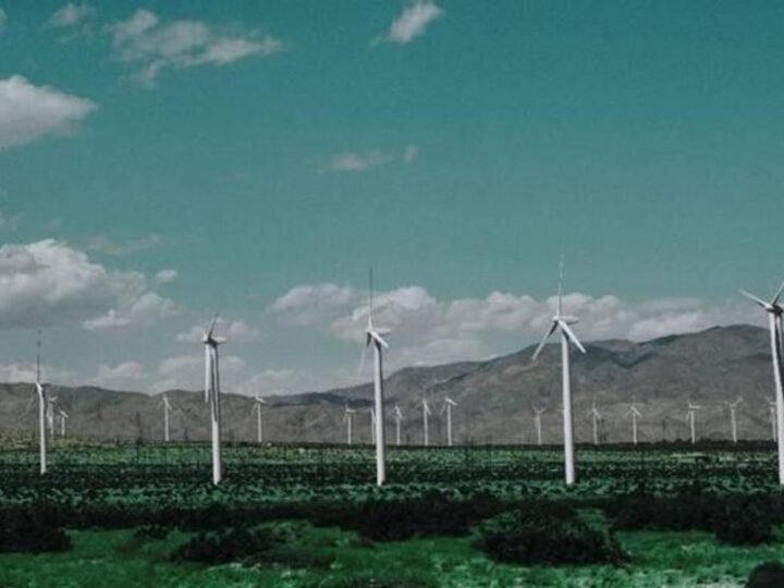 O papel dos lubrificantes industriais na geração de energia em parques eólicos O papel dos lubrificantes industriais na geração de energia em parques eólicos