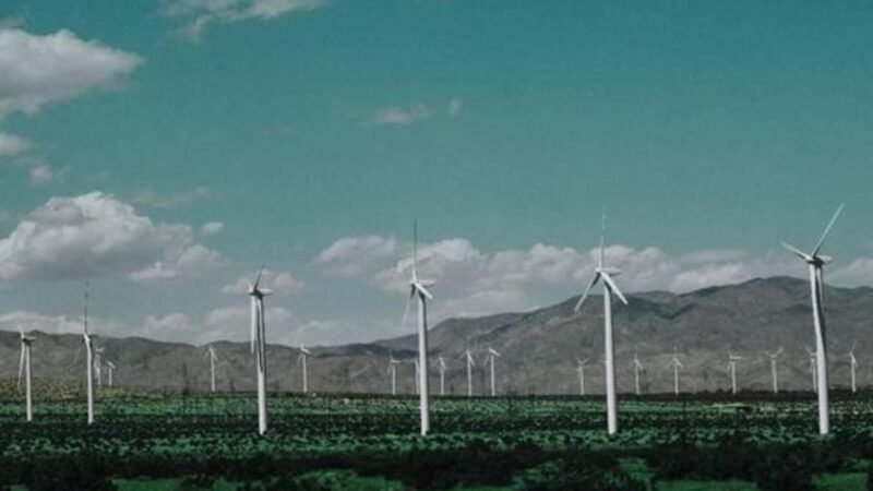 O papel dos lubrificantes industriais na geração de energia em parques eólicos