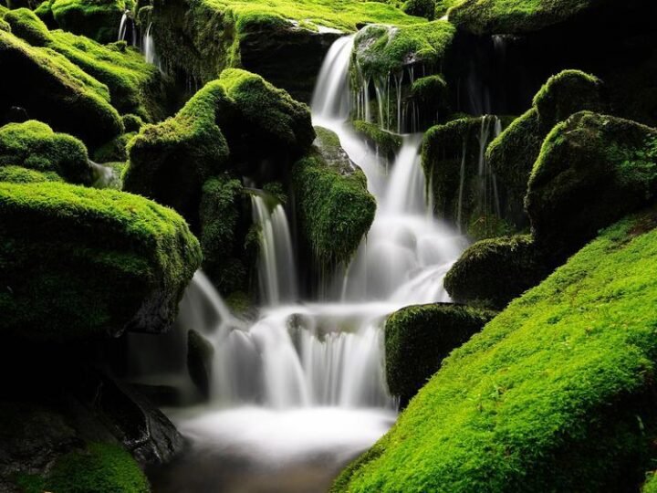 Vazamento na Vale: Plano de Emergência não foi Acionado