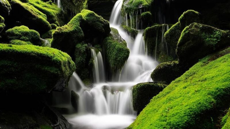 Vazamento na Vale: Plano de Emergência não foi Acionado