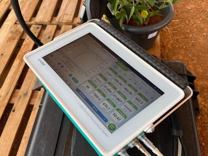 Agro goiano tem grande potencial de reduzir emissão de gases de efeito estufa